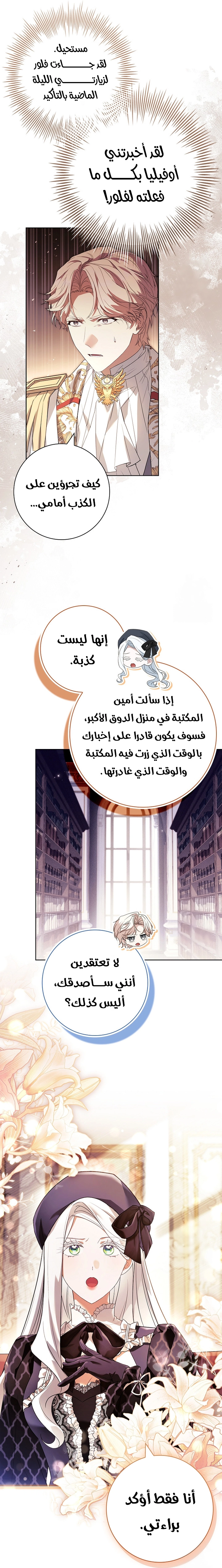 الصفحة 17