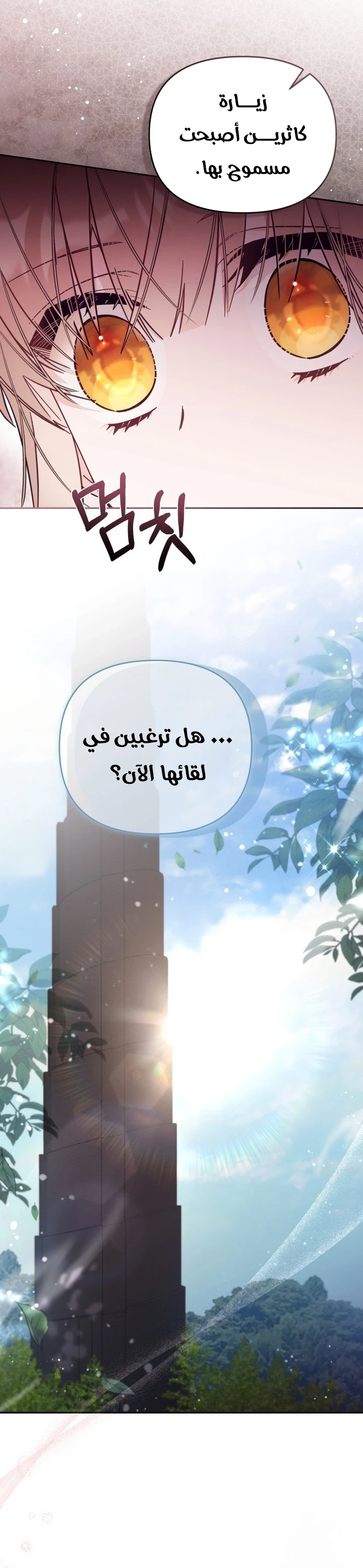 الصفحة 23