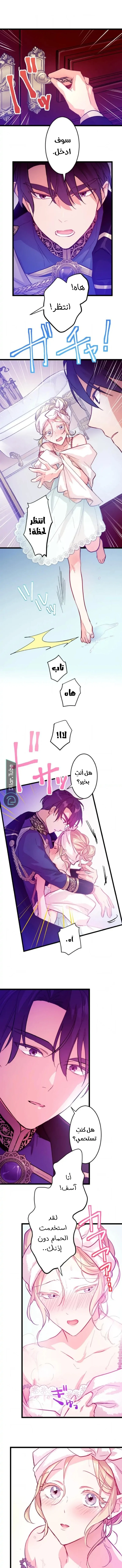 الصفحة 9