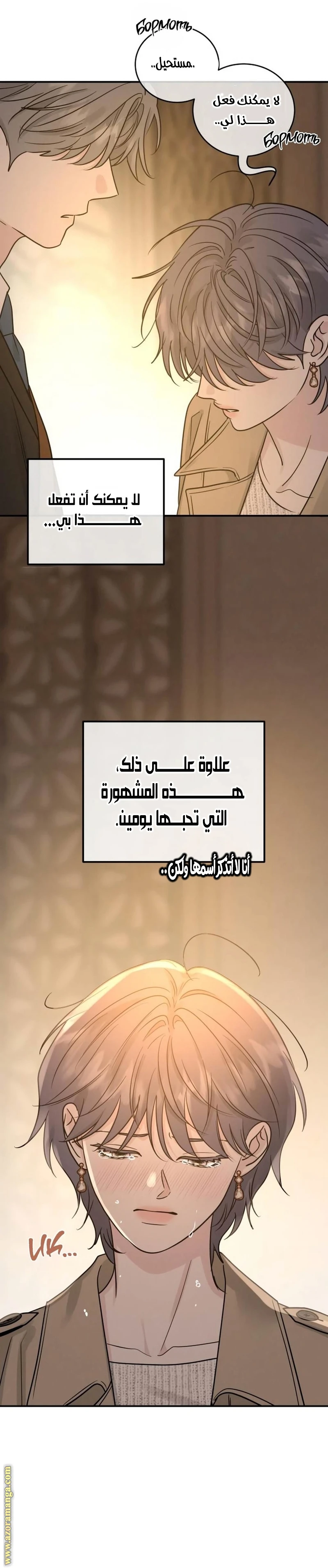 الصفحة 12