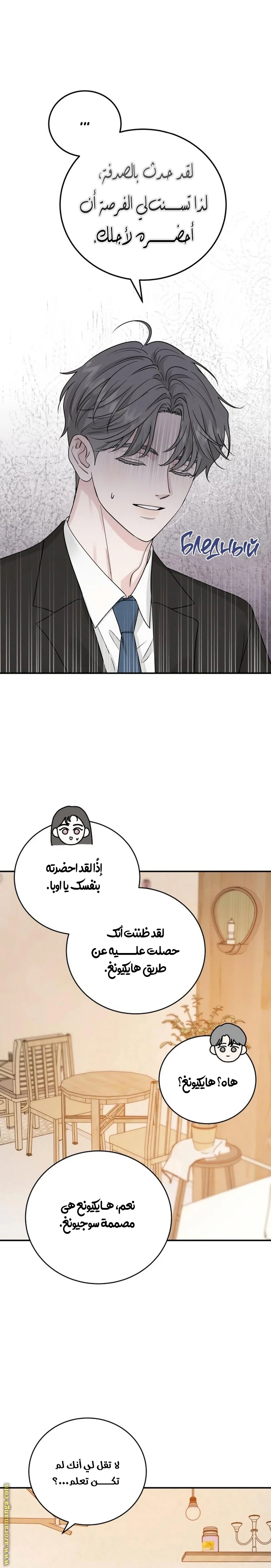 الصفحة 14