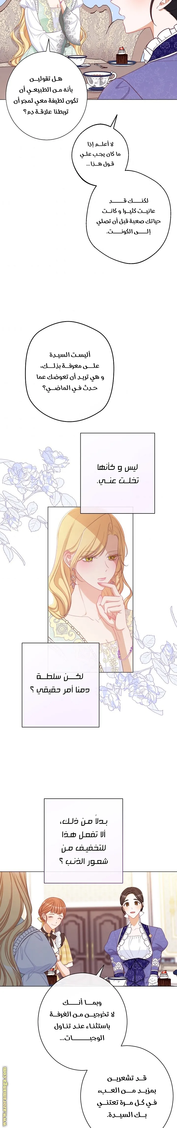 الصفحة 17