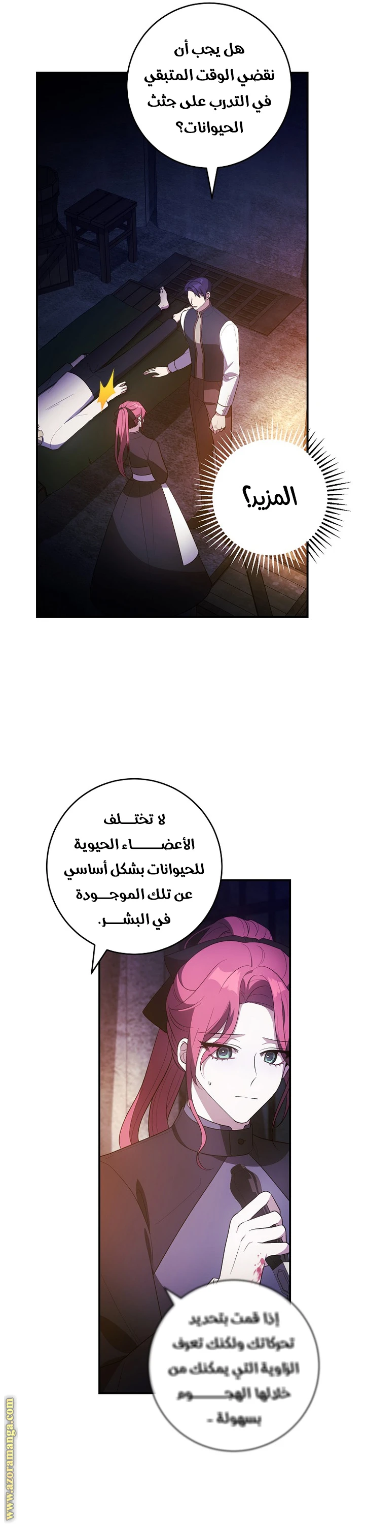 الصفحة 20