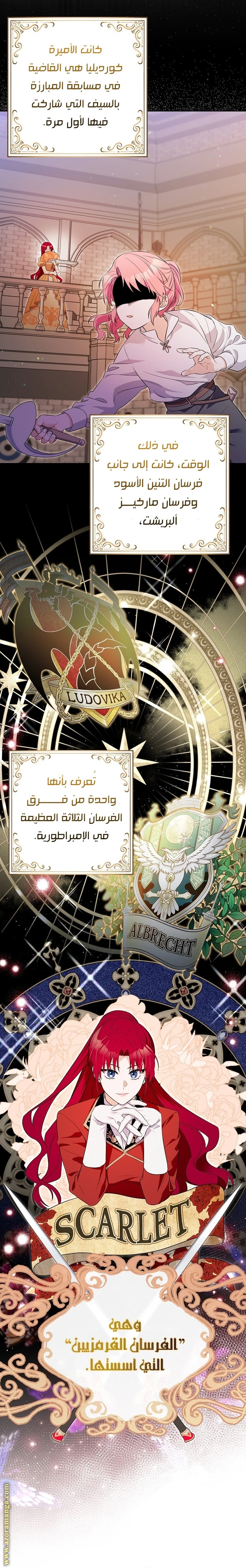 الصفحة 17