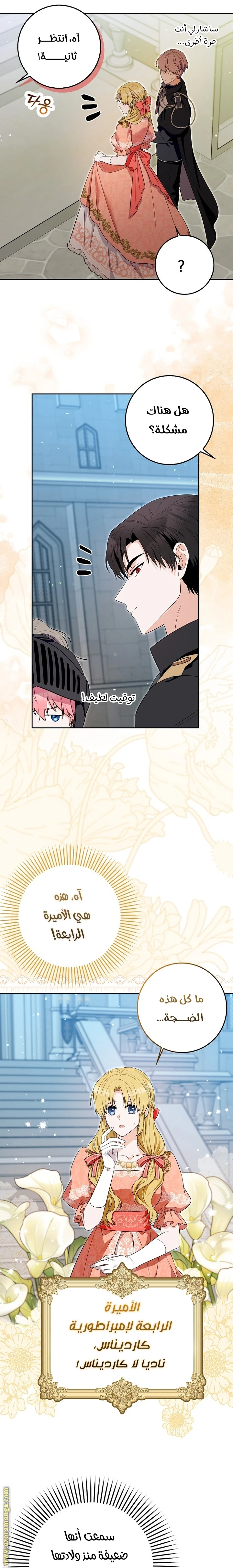 الصفحة 22