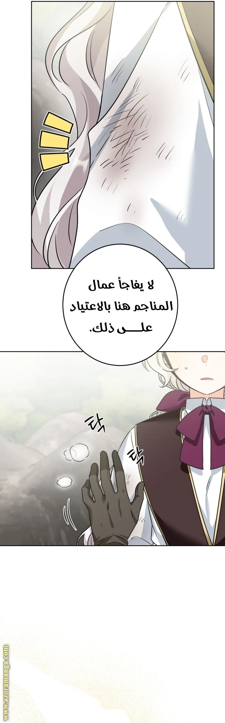 الصفحة 13