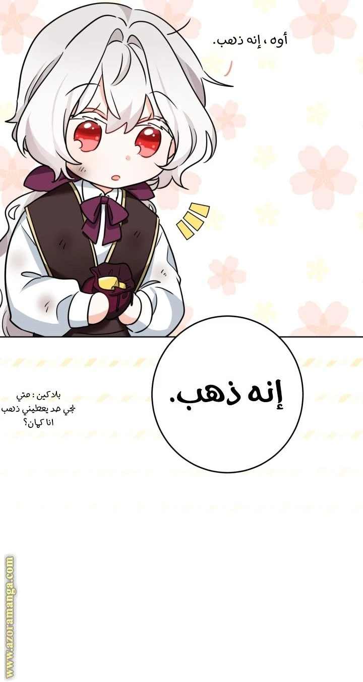 الصفحة 33
