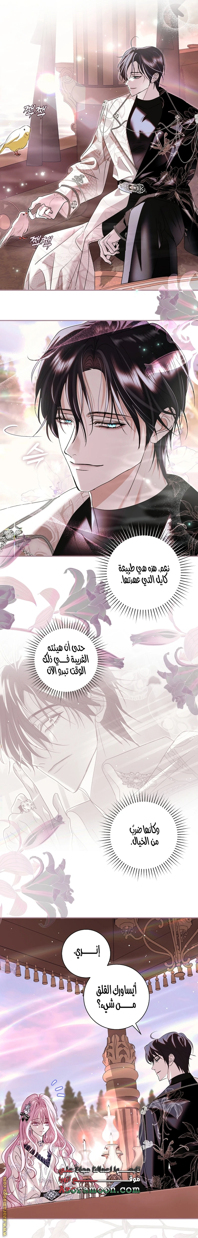 الصفحة 6