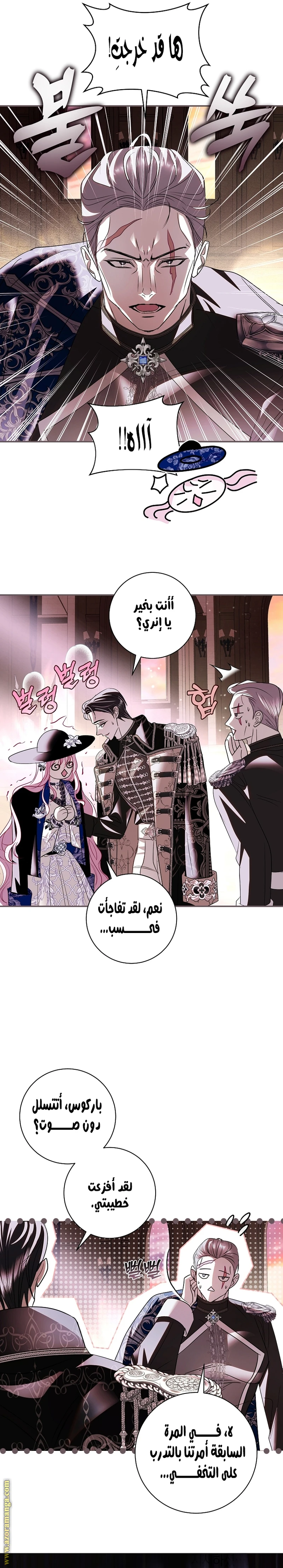 الصفحة 11