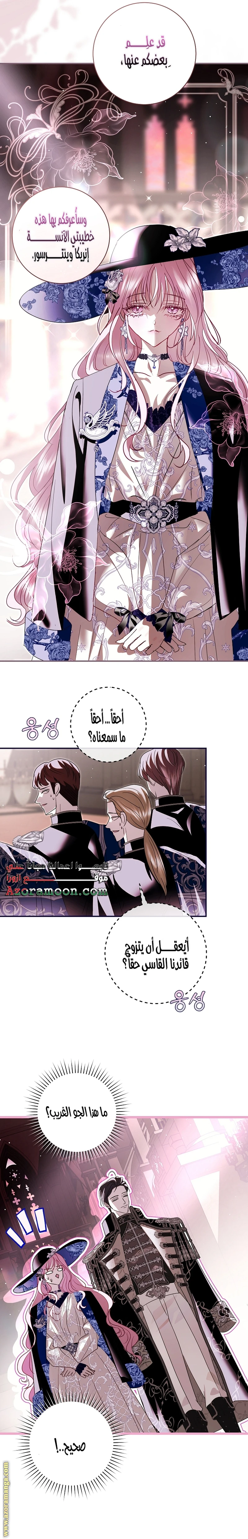 الصفحة 14
