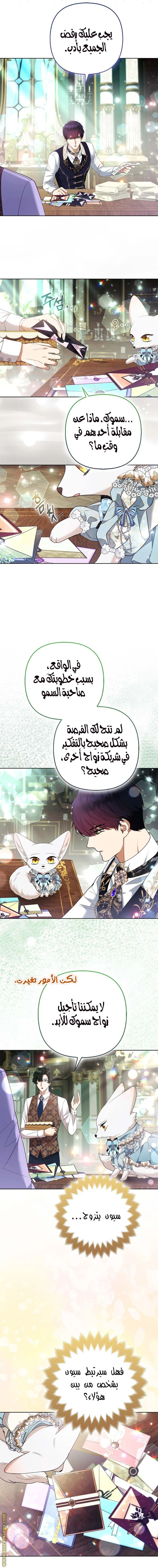الصفحة 6