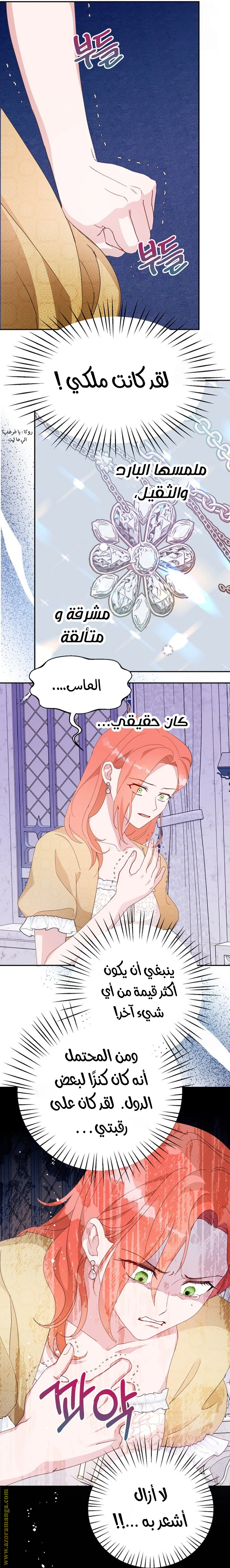 الصفحة 14