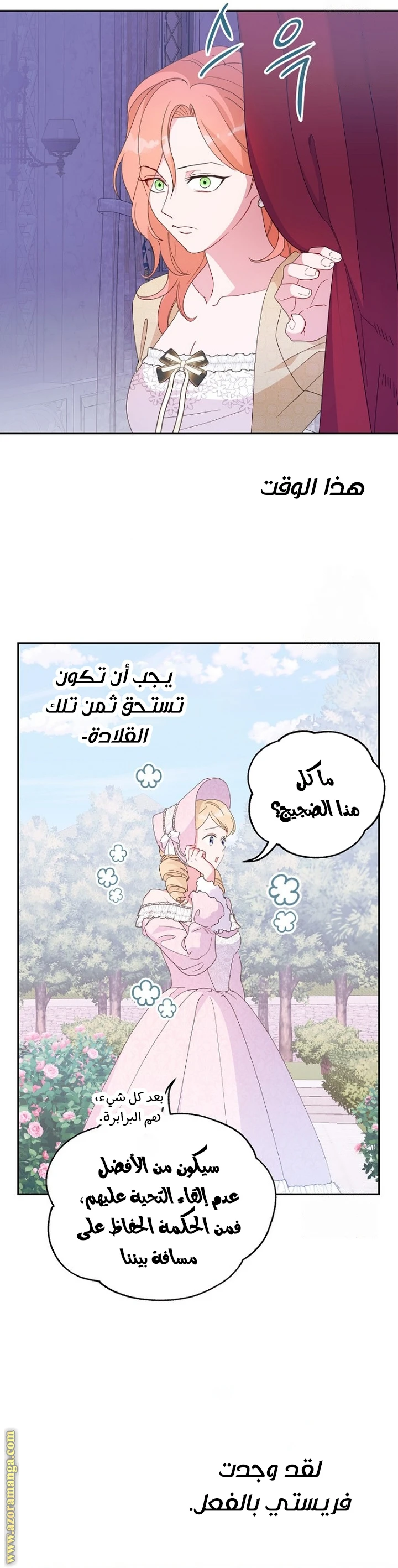 الصفحة 17