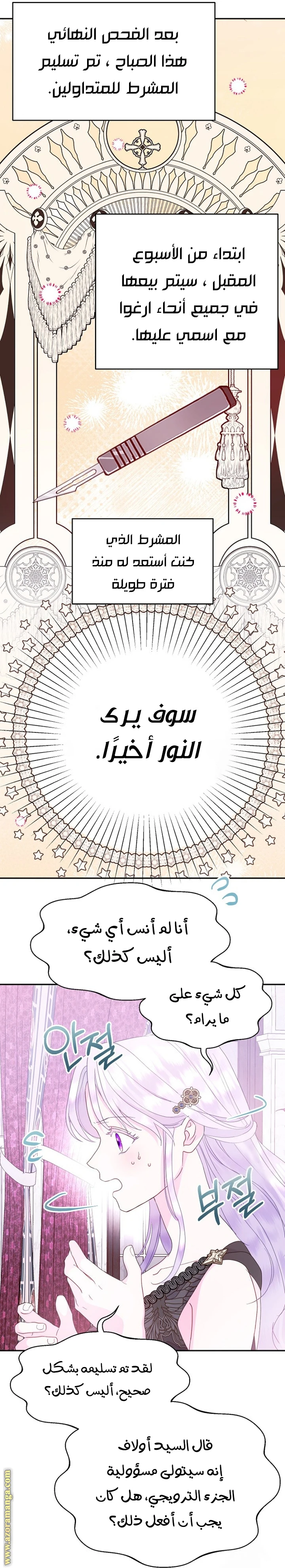الصفحة 25
