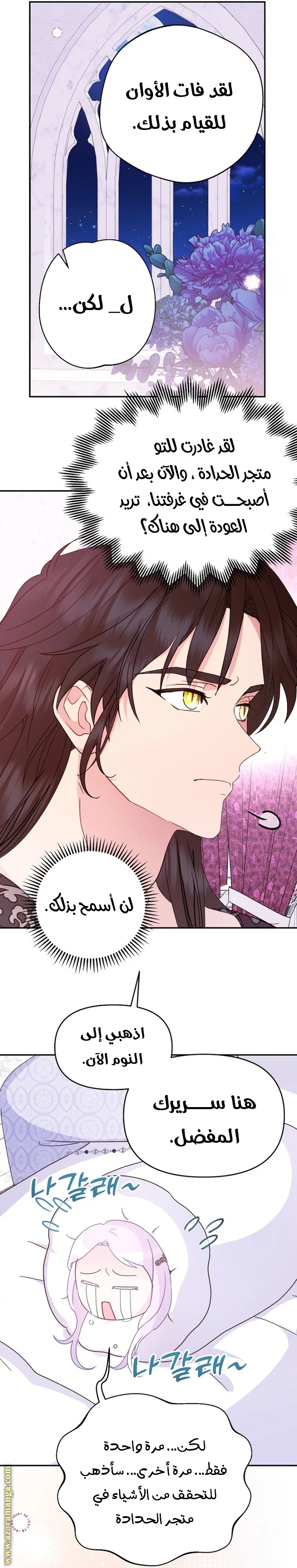 الصفحة 28