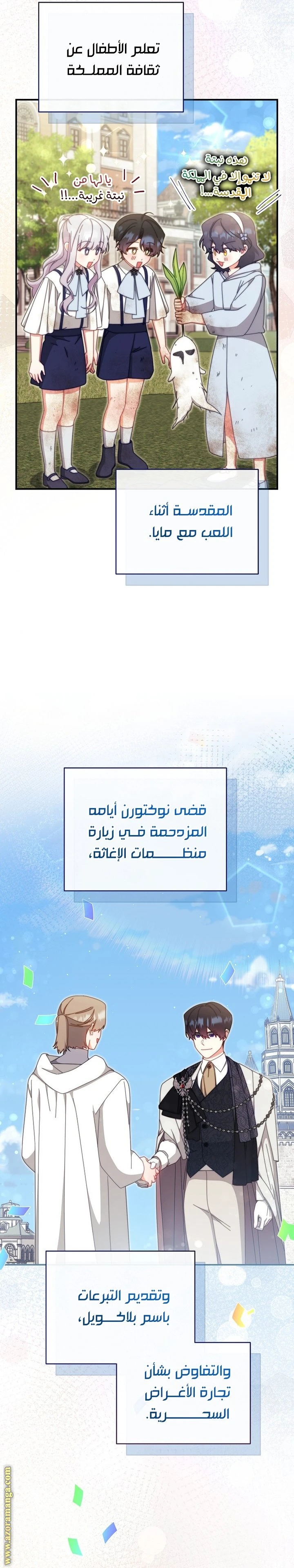 الصفحة 13