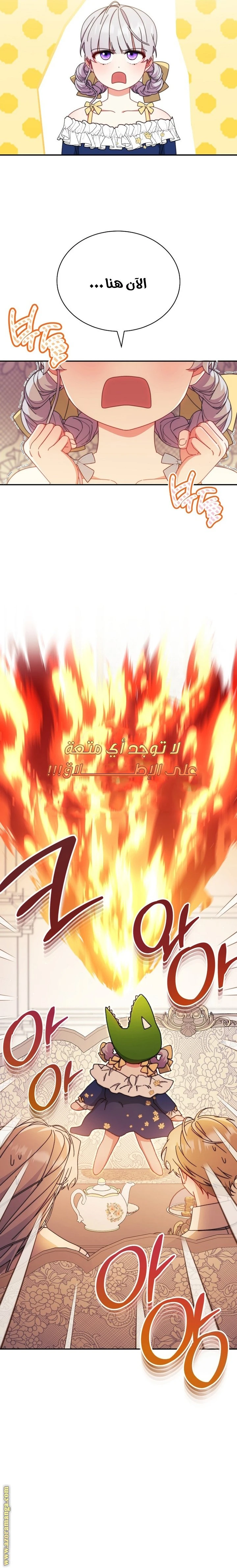 الصفحة 16