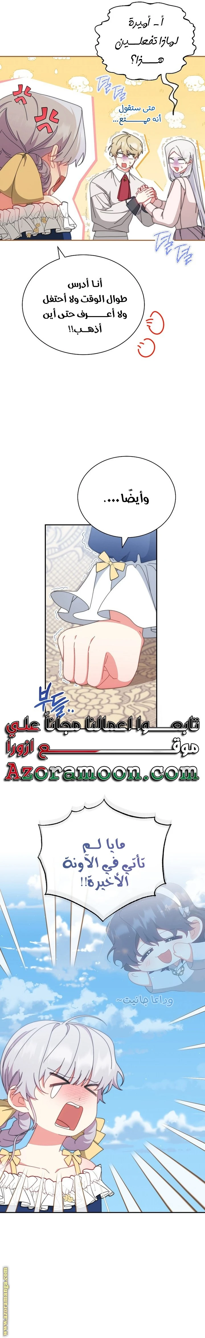 الصفحة 17