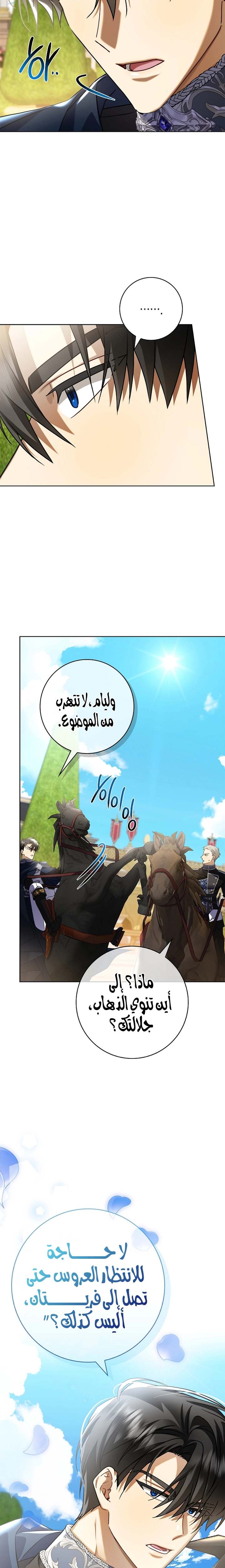 الصفحة 13