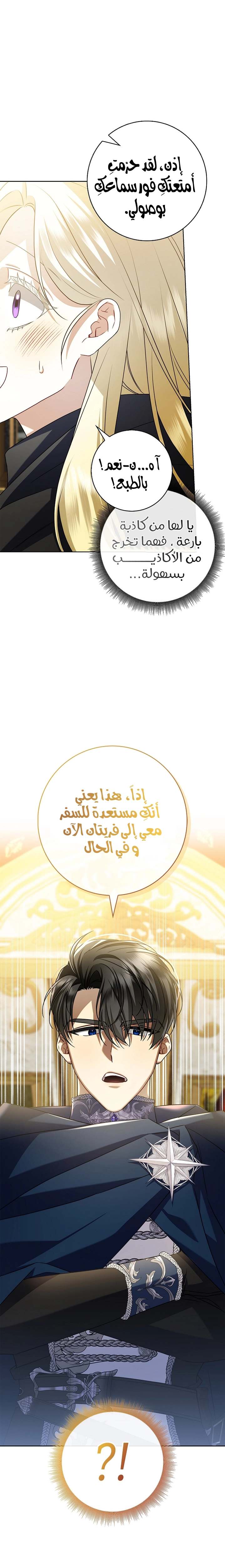 الصفحة 17