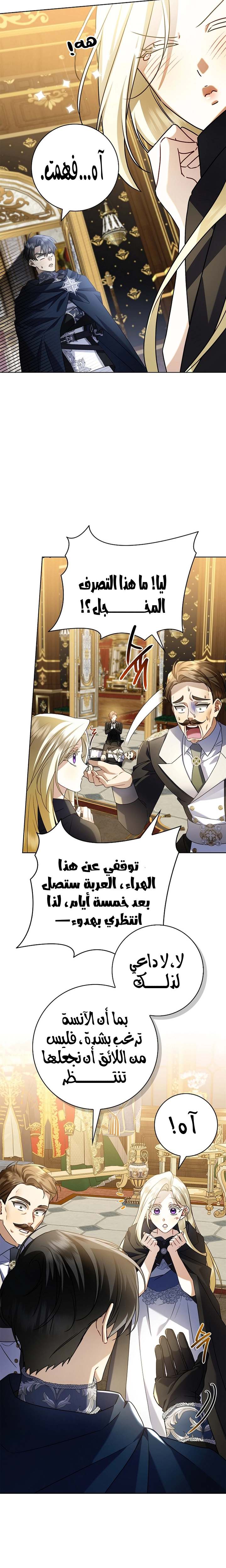 الصفحة 19