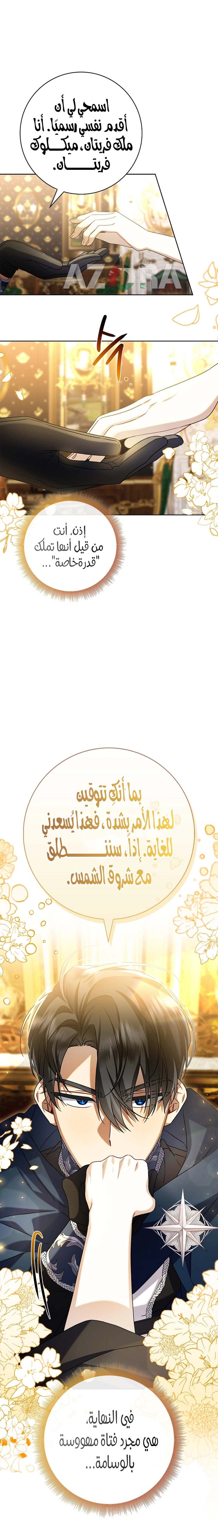 الصفحة 20