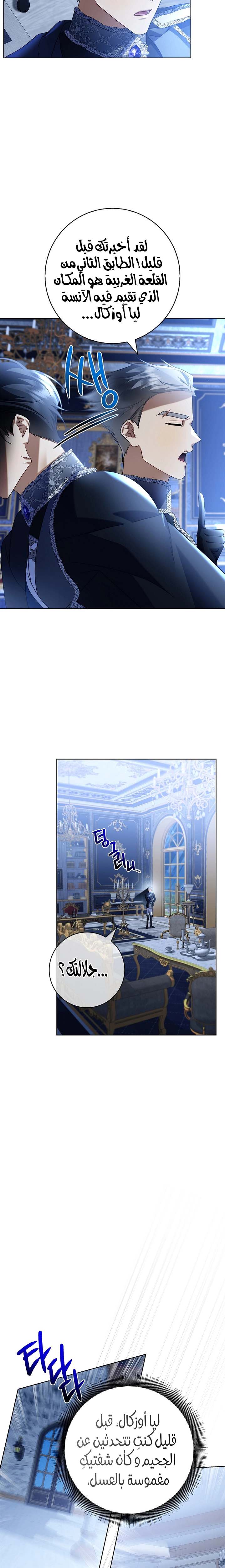الصفحة 25