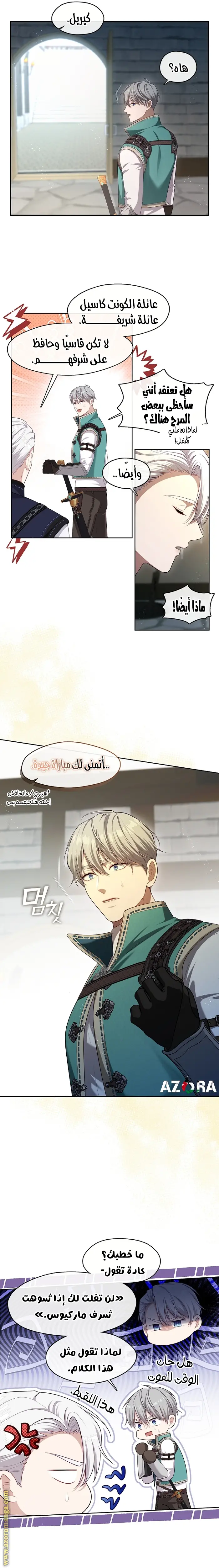 الصفحة 17