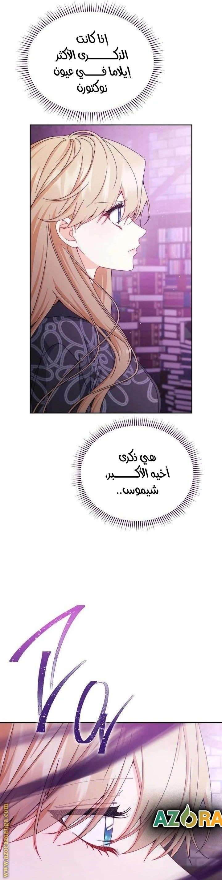 الصفحة 17