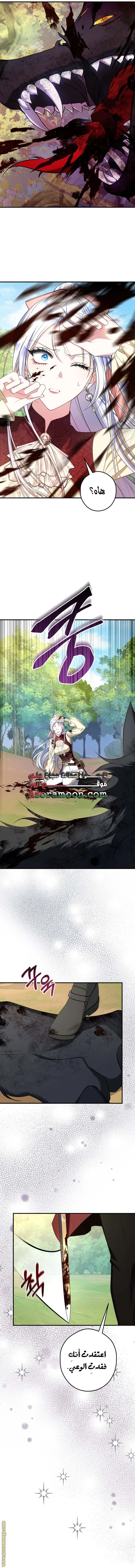 الصفحة 7