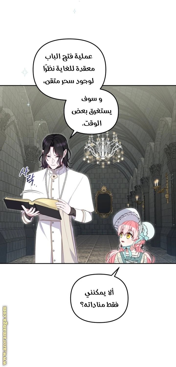 الصفحة 25