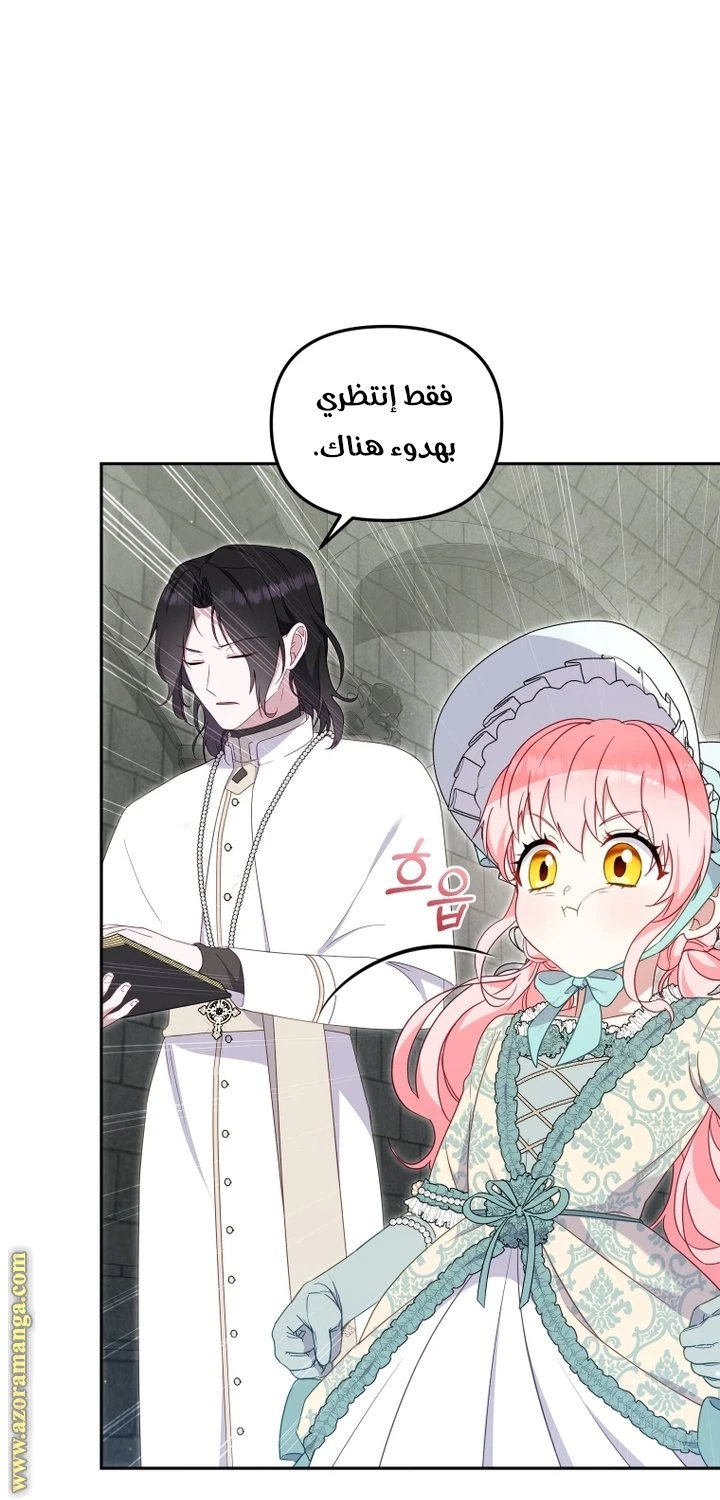 الصفحة 27