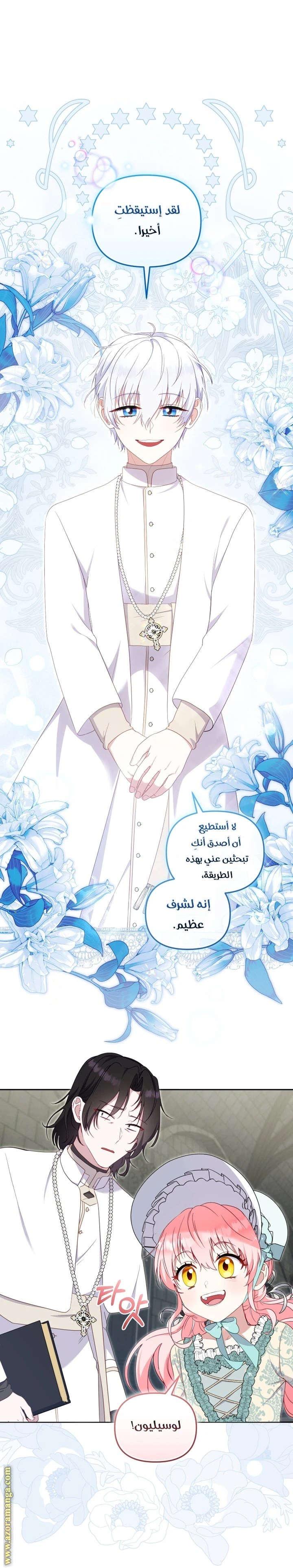 الصفحة 31