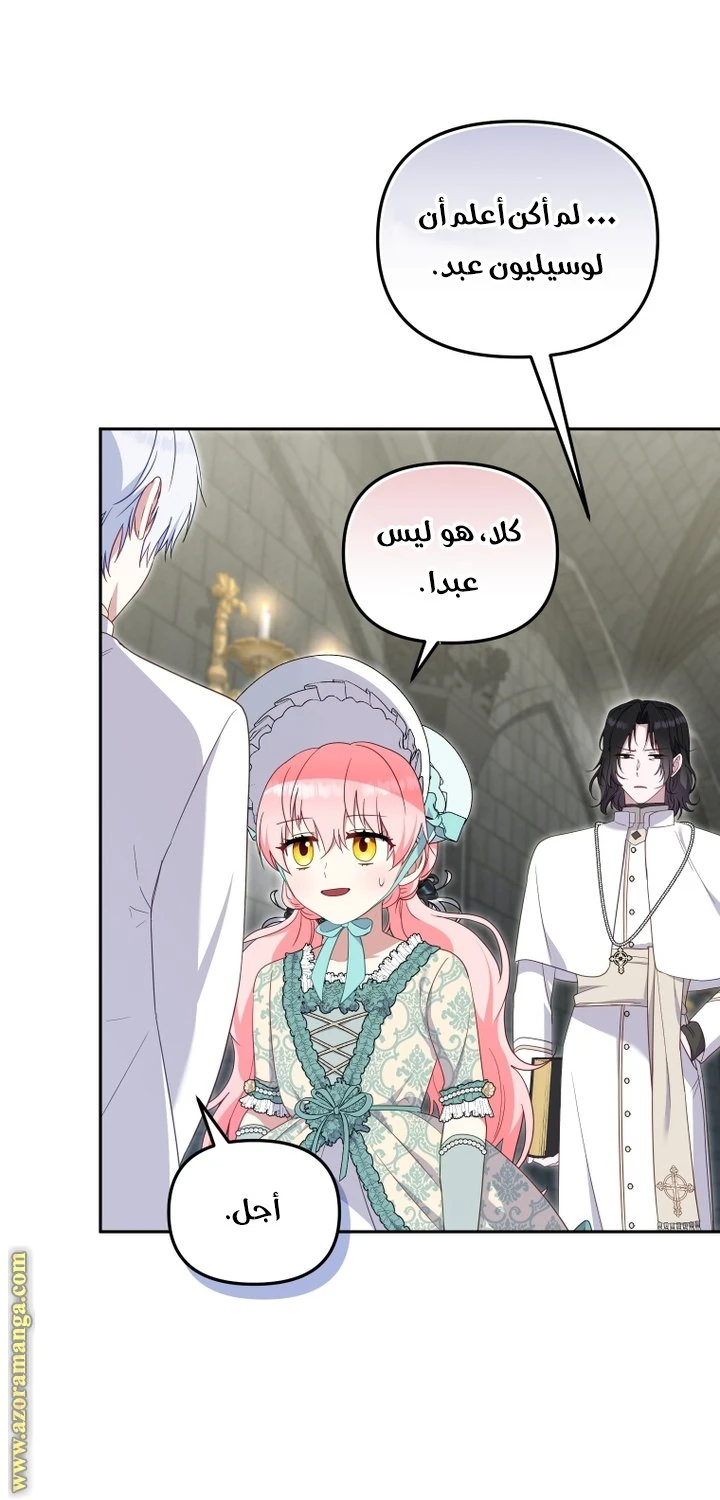 الصفحة 41