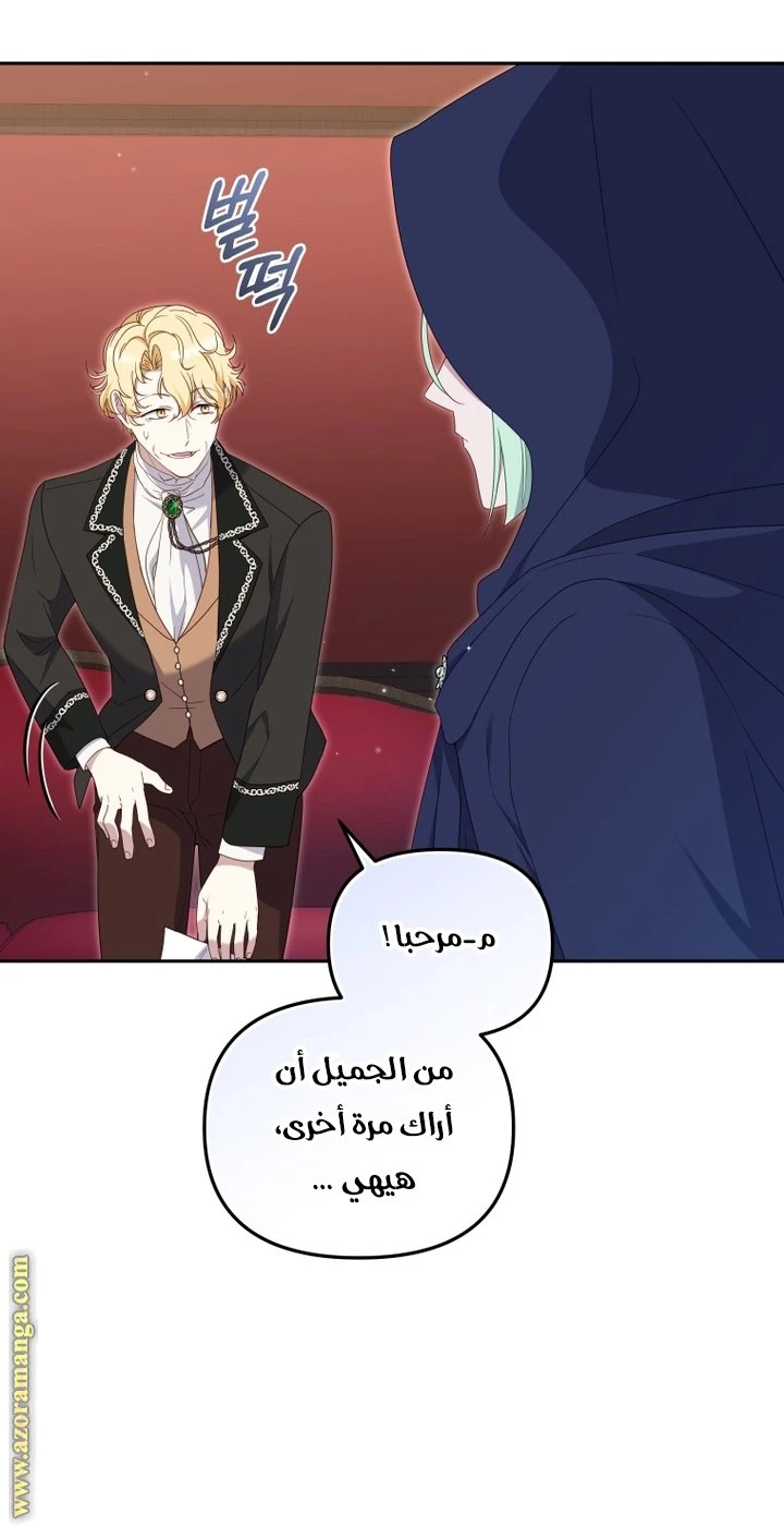 الصفحة 47