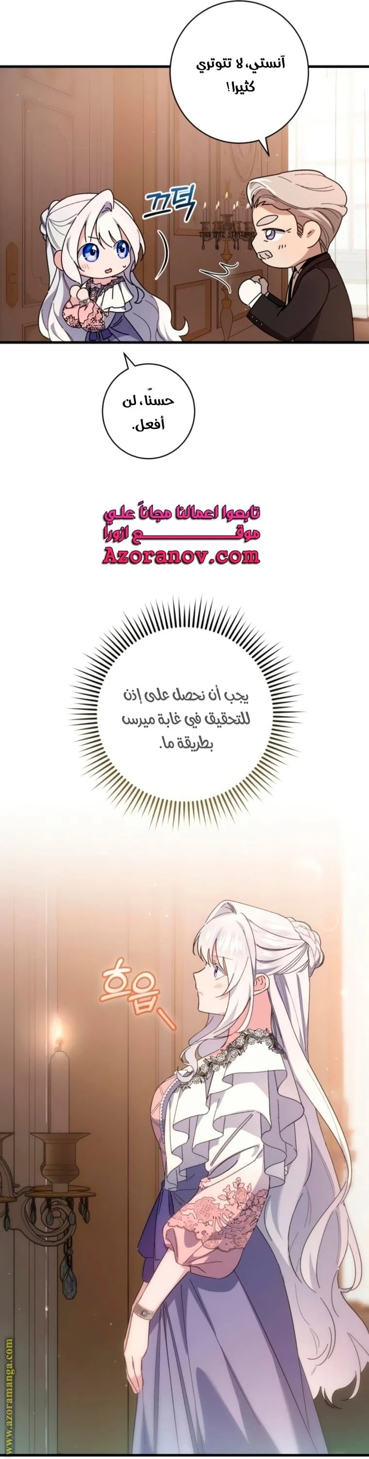 الصفحة 17