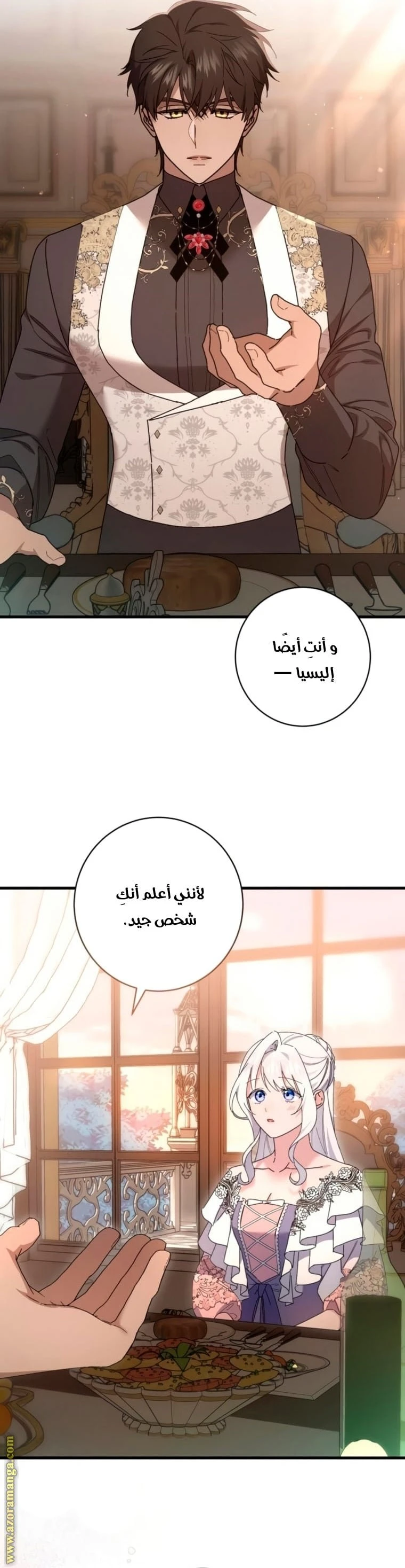 الصفحة 27