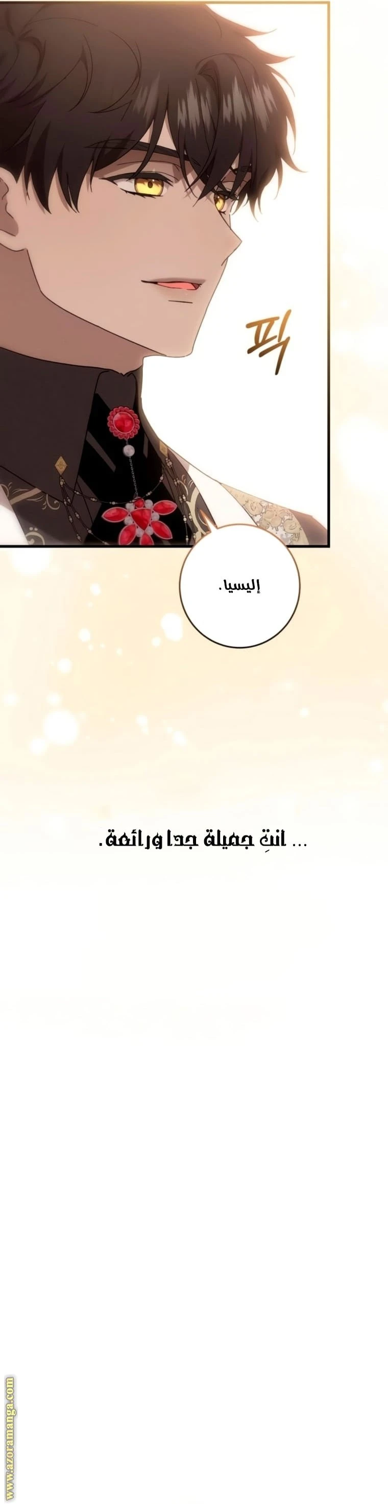 الصفحة 35