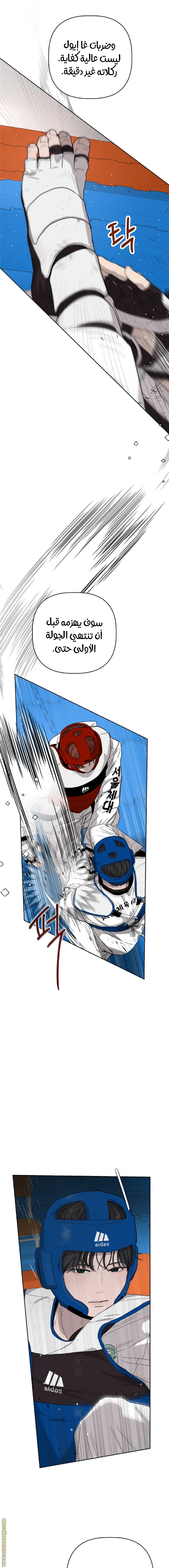الصفحة 17