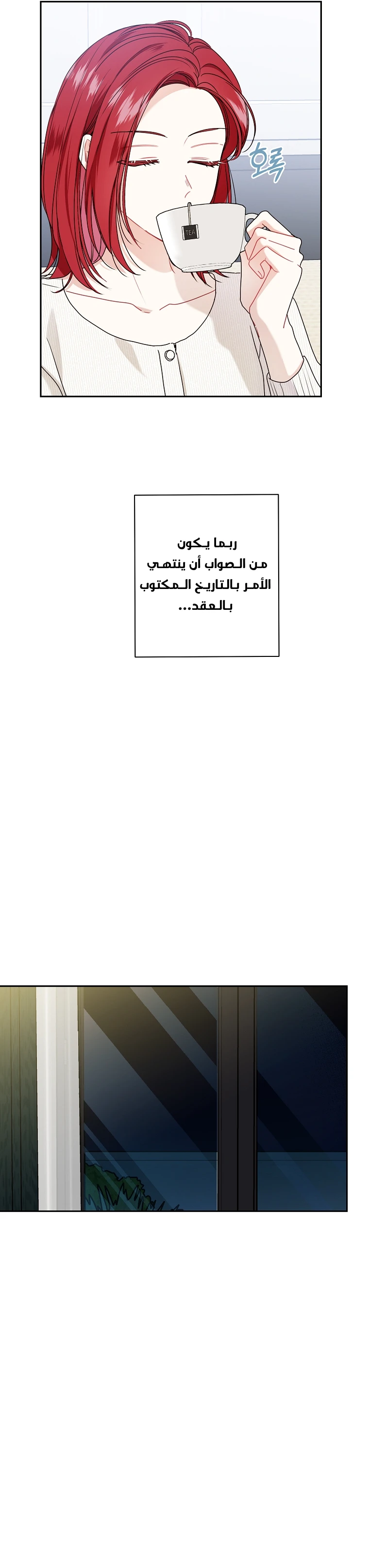 الصفحة 11