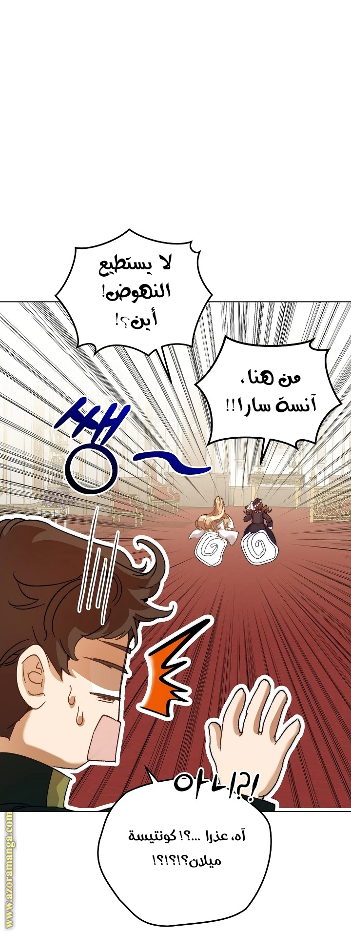 الصفحة 46