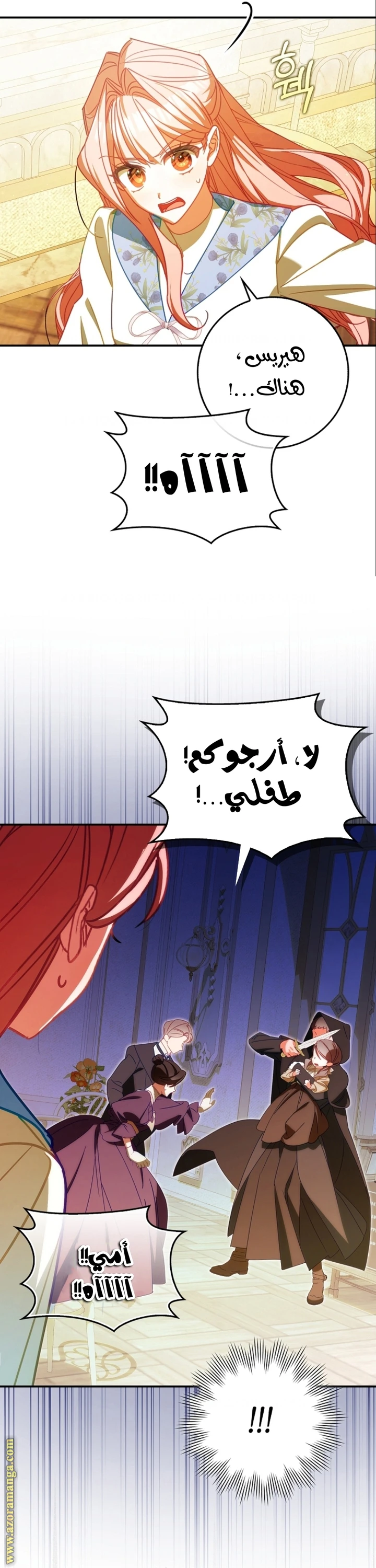 الصفحة 17