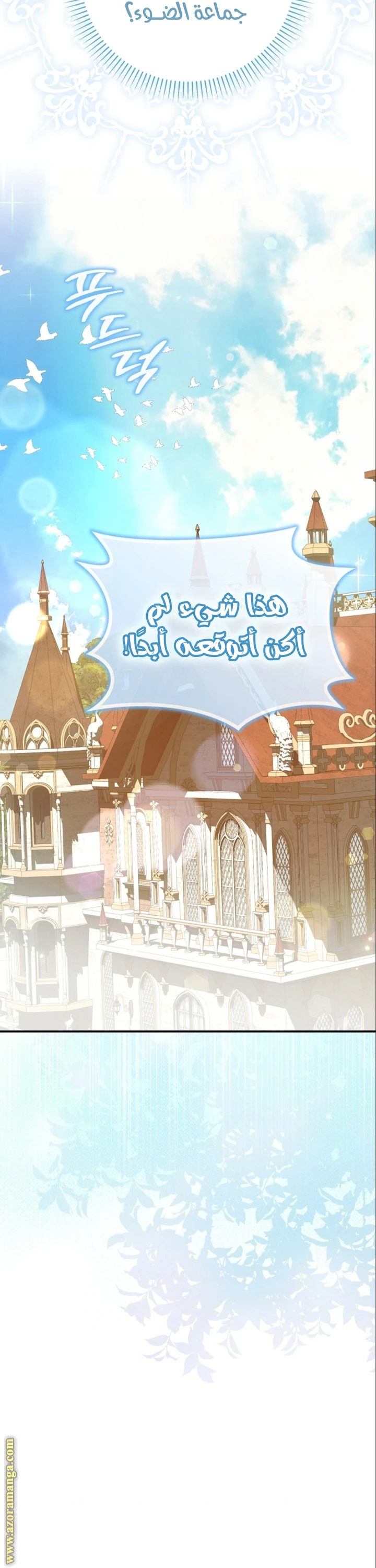 الصفحة 41