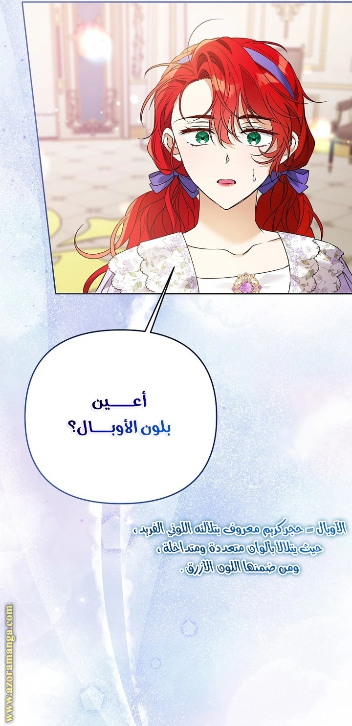 الصفحة 47