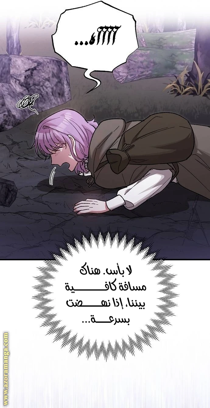 الصفحة 49