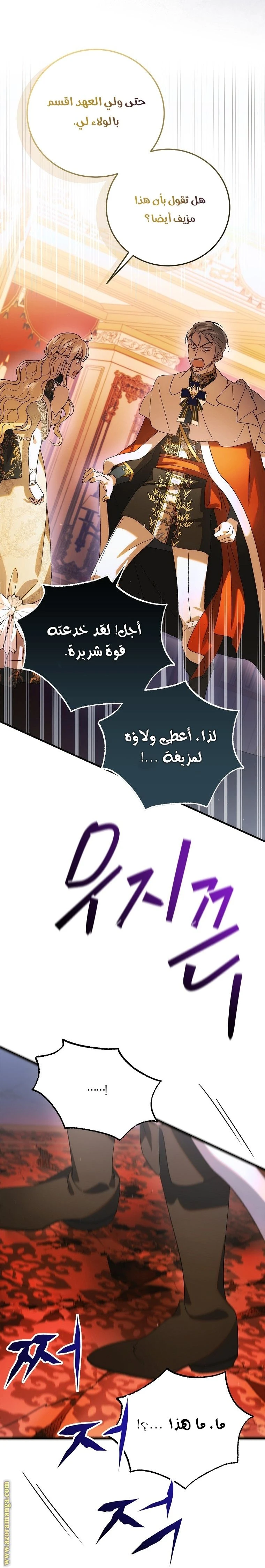 الصفحة 14