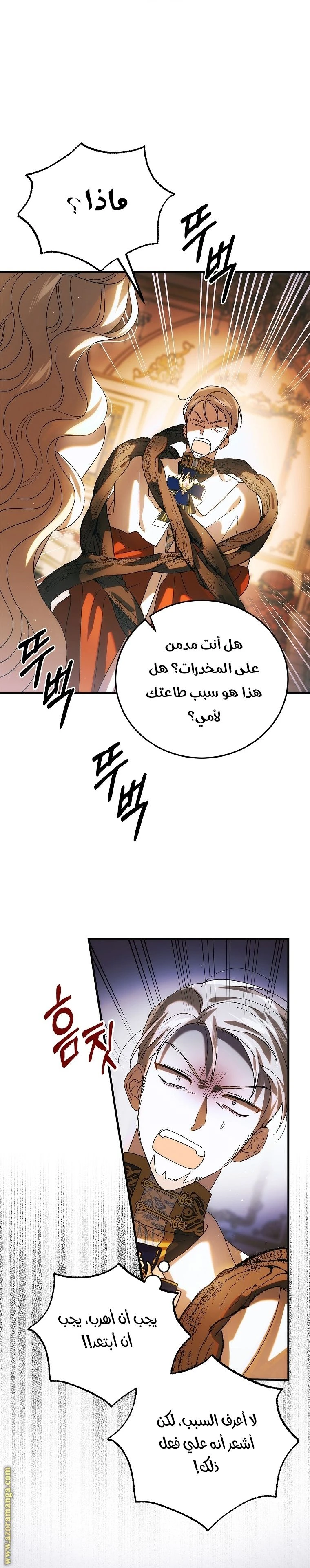 الصفحة 26