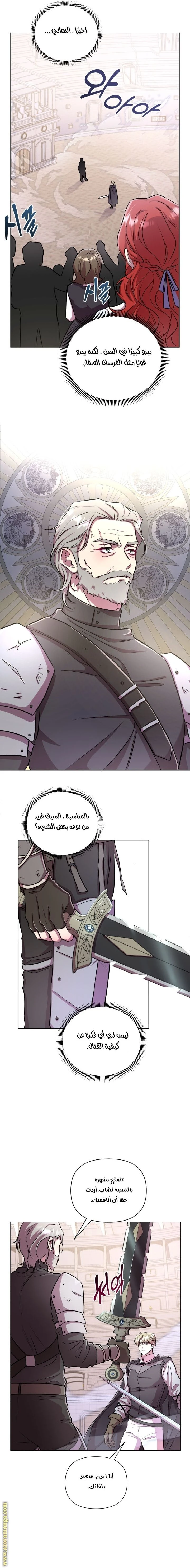 الصفحة 17