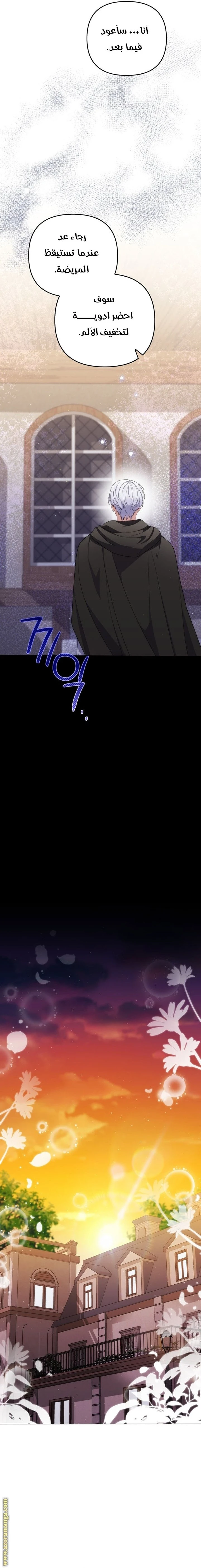 الصفحة 13