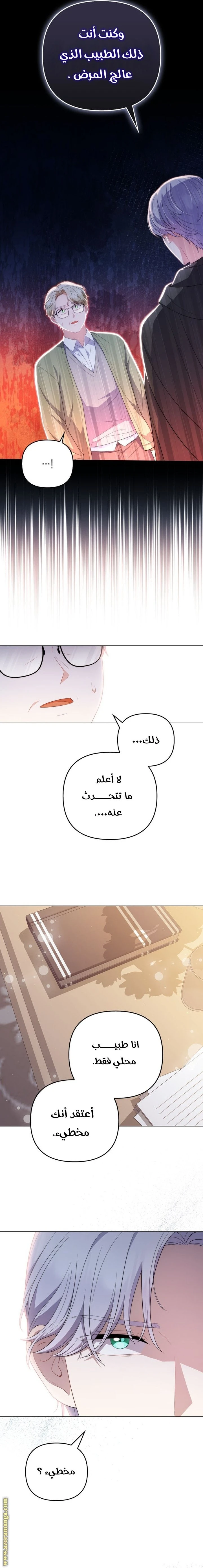 الصفحة 17